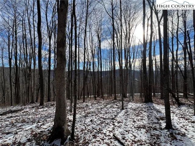 $50,000 | Lot 60 Elk Creek Mountain Parkway, Todd, NC 28684