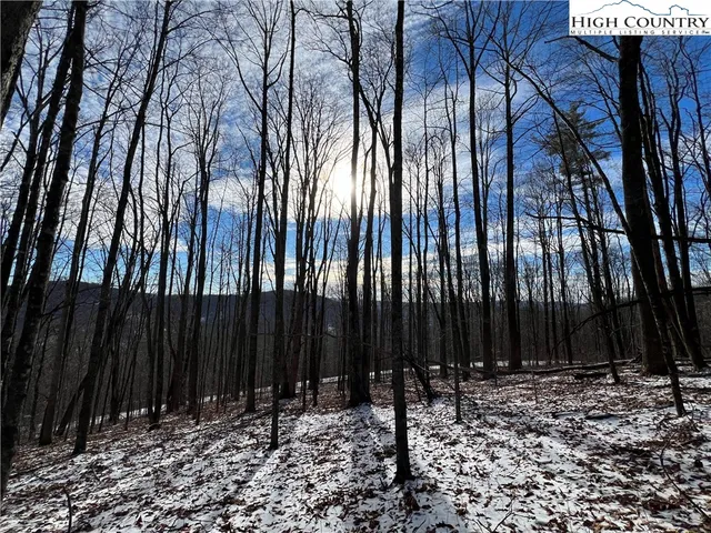 $50,000 | Lot 60 Elk Creek Mountain Parkway, Todd, NC 28684