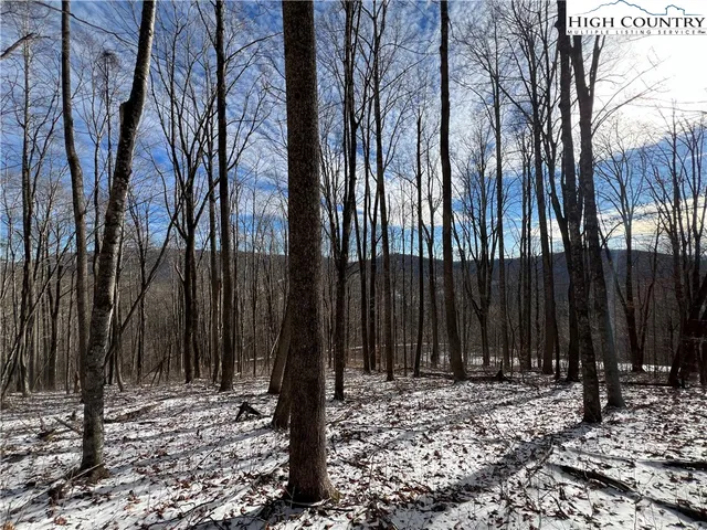 $50,000 | Lot 60 Elk Creek Mountain Parkway, Todd, NC 28684