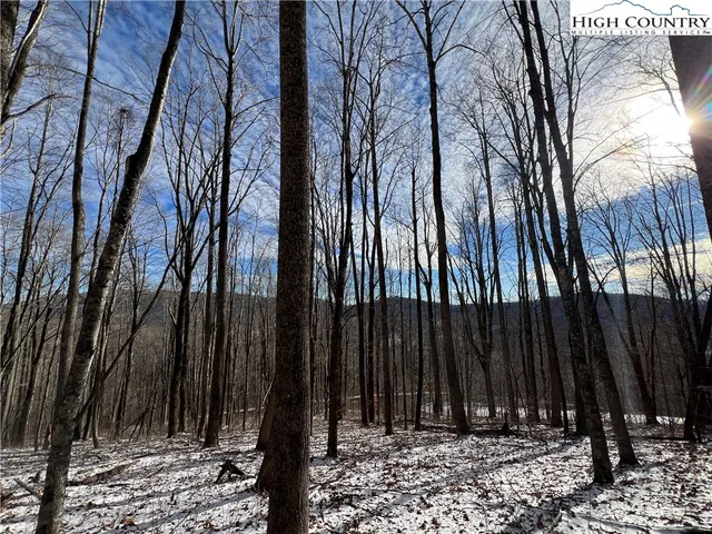 $50,000 | Lot 60 Elk Creek Mountain Parkway, Todd, NC 28684