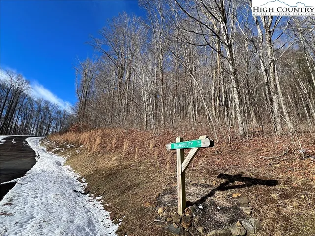 $50,000 | Lot 60 Elk Creek Mountain Parkway, Todd, NC 28684