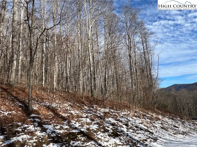 $50,000 | Lot 60 Elk Creek Mountain Parkway, Todd, NC 28684