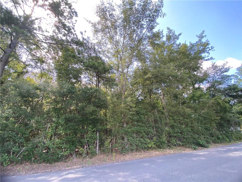 0 Sanders Road Kentwood, LA 70444 - Photo 5 of 6