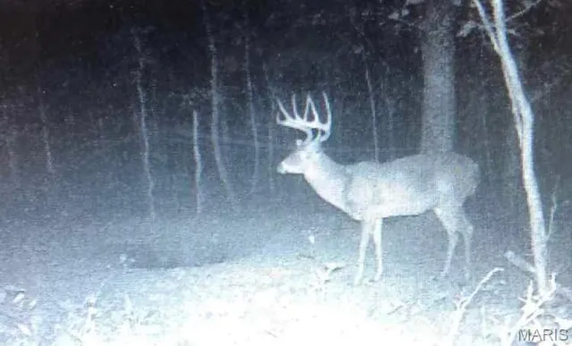 $335,000 | 14559 Hunter Lane, Winona, MO 65588