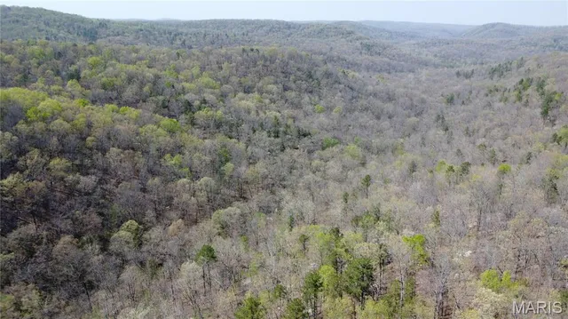 $335,000 | 14559 Hunter Lane, Winona, MO 65588