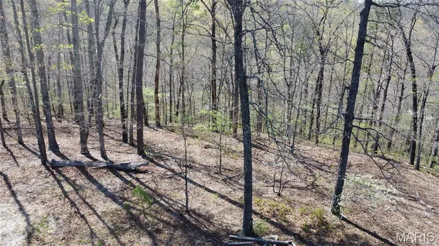 $335,000 | 14559 Hunter Lane, Winona, MO 65588