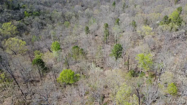 $335,000 | 14559 Hunter Lane, Winona, MO 65588