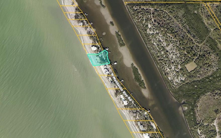 804 North Manasota Key Road Englewood, FL 34223 - Photo 5 of 23 a close up of a plant