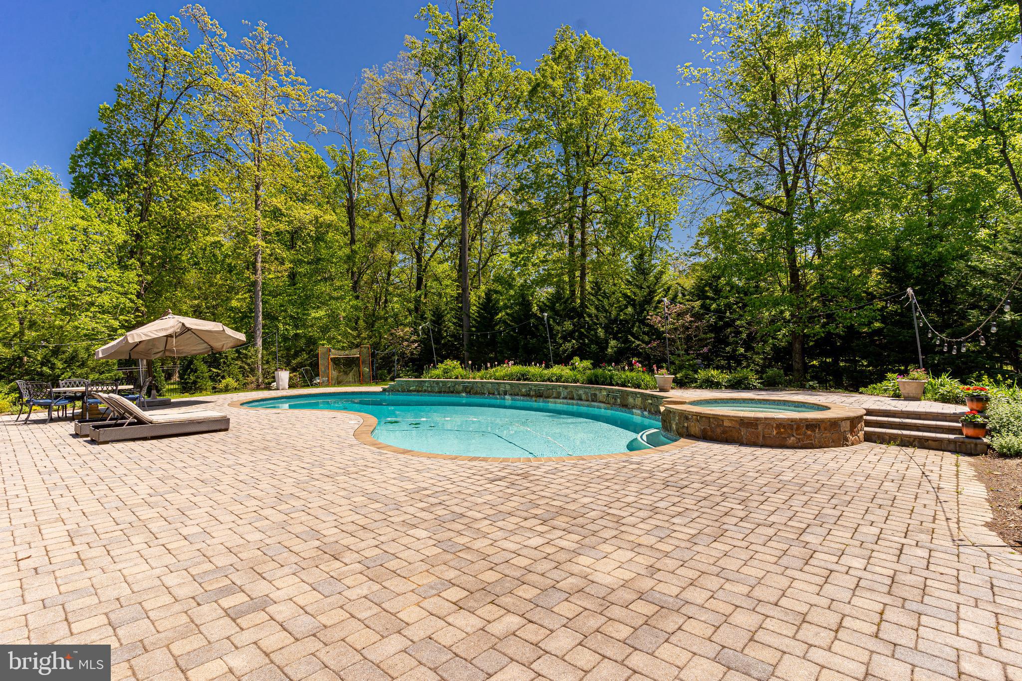9900 Newhall Road Potomac, MD 20854 - Photo 14 of 45 View of Luxurious Heated Pool & Spa
