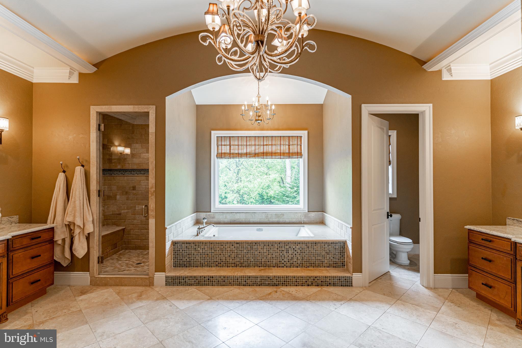 9900 Newhall Road Potomac, MD 20854 - Photo 22 of 45 Owner's Suite Luxurious Bath