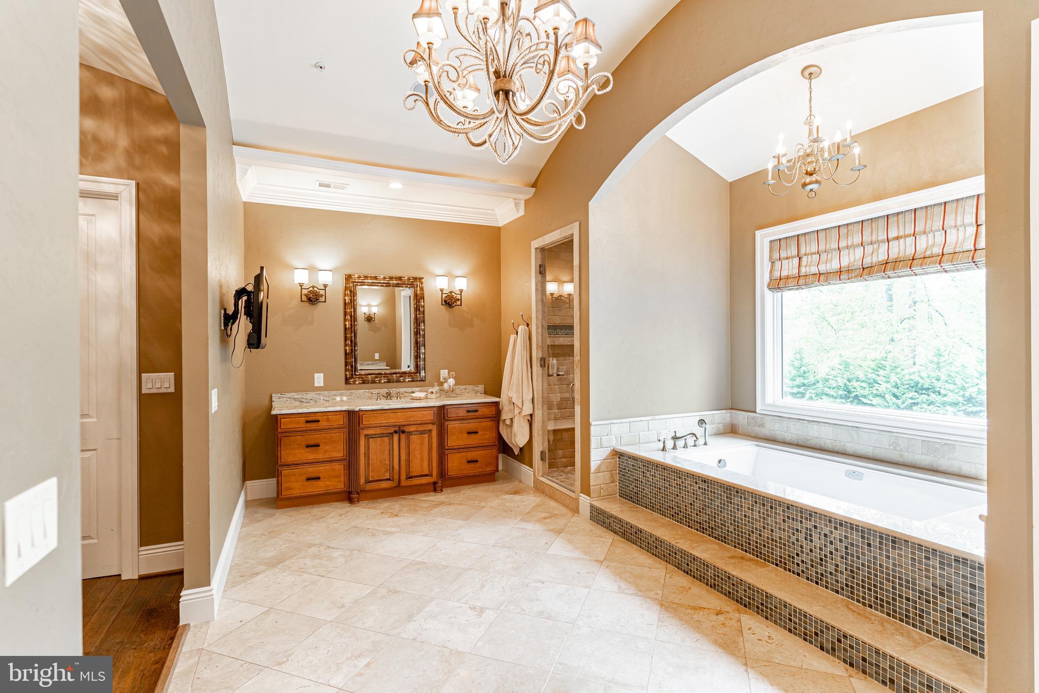 9900 Newhall Road Potomac, MD 20854 - Photo 23 of 45 Owner's Suite Luxurious Bath