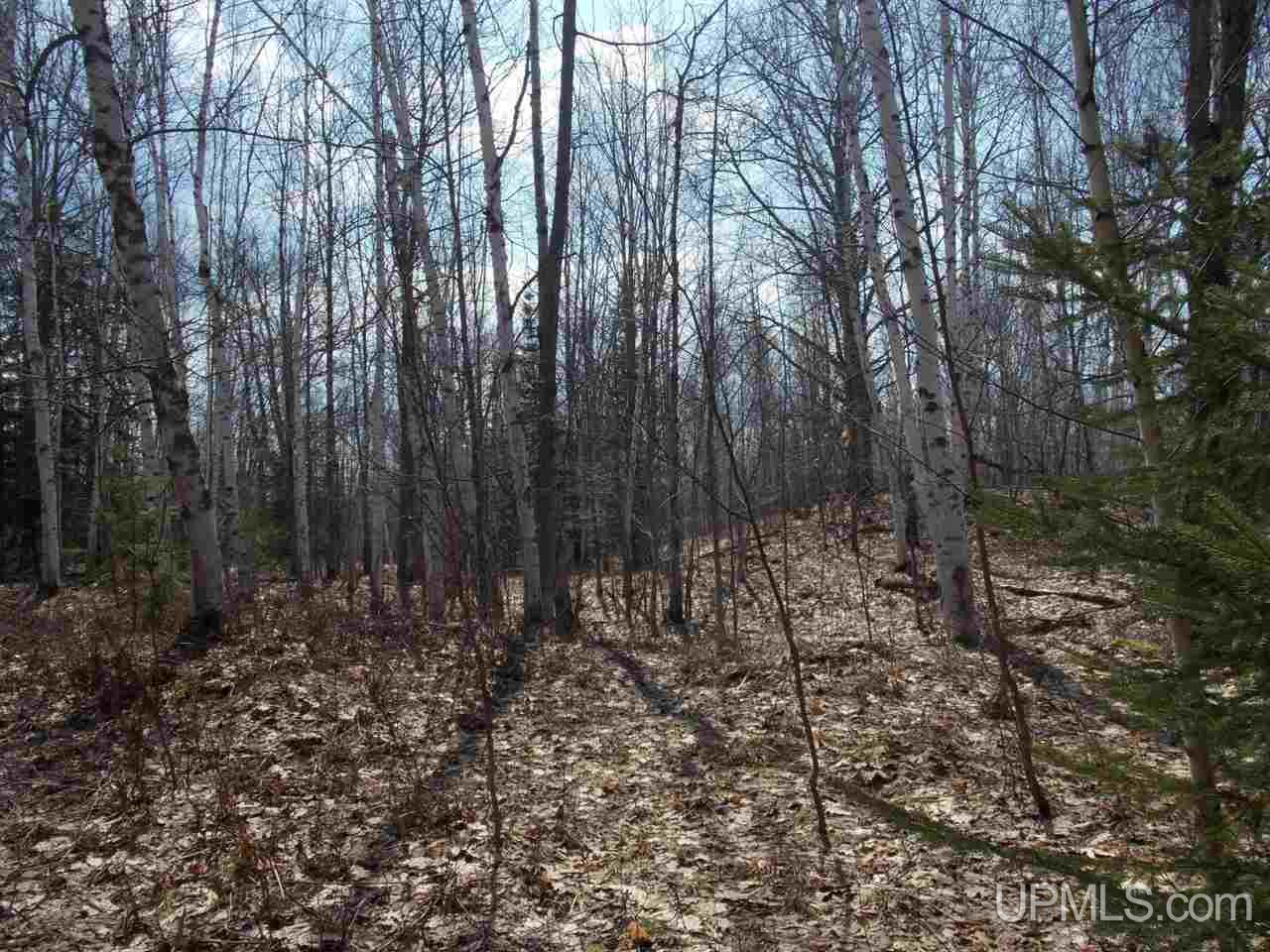 Sec 3-tbd Sec 3-tbd Aura Road Lanse, MI 49946 - Photo 7 of 8
