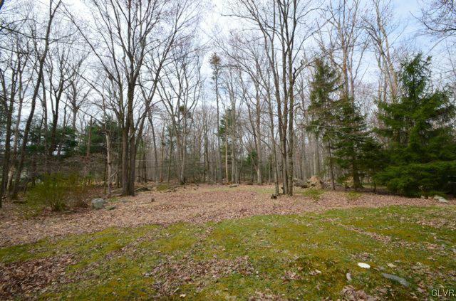 431 Laurel Pine Road Cresco, PA 18326 - Photo 21 of 22 Gallery Image 21