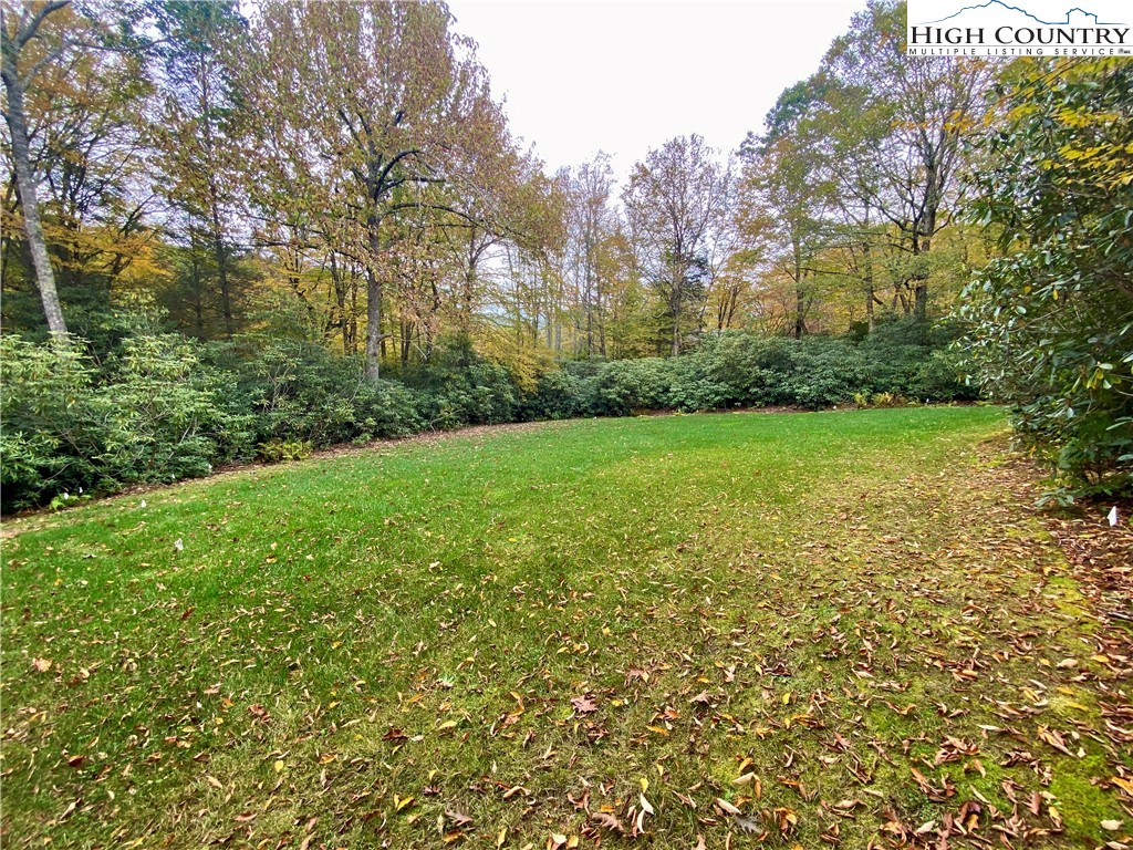 171 Balsam Road Linville, NC 28646 - Photo 49 of 49 a view of a field with plants and trees
