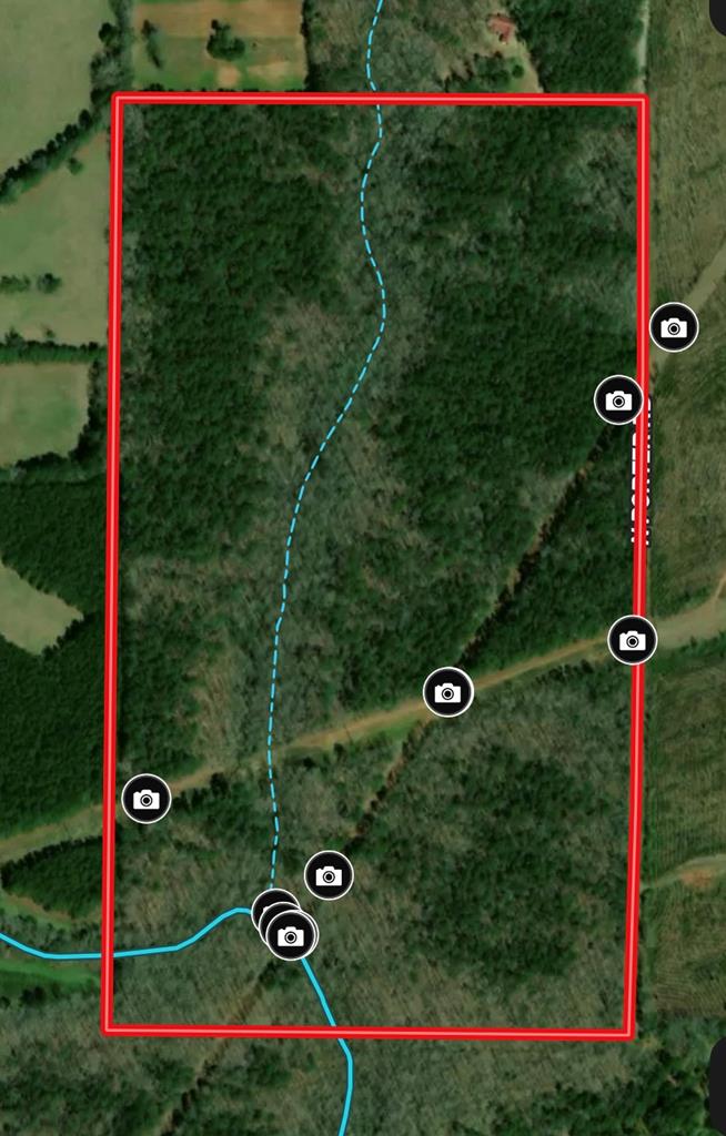0 North Porter Road Shiloh, GA 31826 - Photo 31 of 32 plat outline