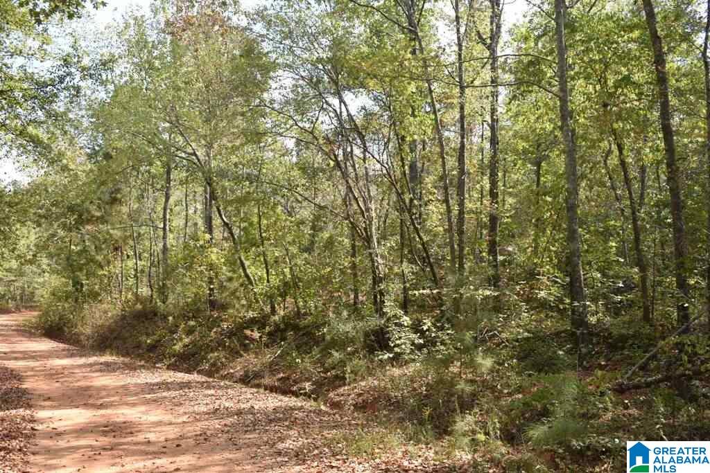 249 County Road, Unit 23 05 Wedowee, AL 36278 - Photo 3 of 4 Gallery Image 3