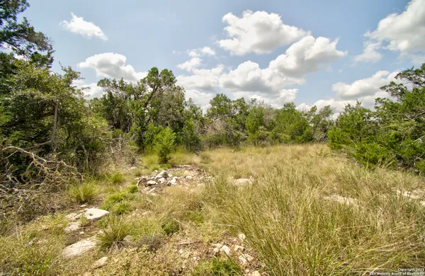 a view of a yard with plants and wooden fence