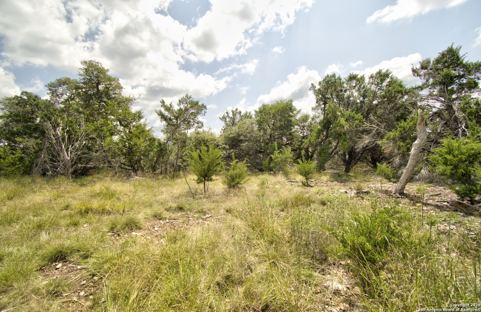 Lot 16 Paloma Ranch Rd Mountain Mountain Home, TX 78058 - Photo 12 of 15 a view of a yard with plants and wooden fence