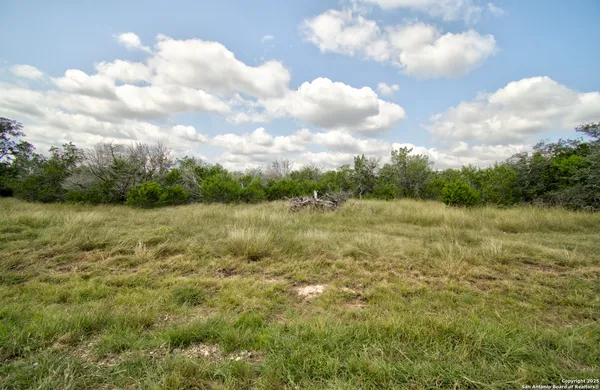 a view of a lake from a yard