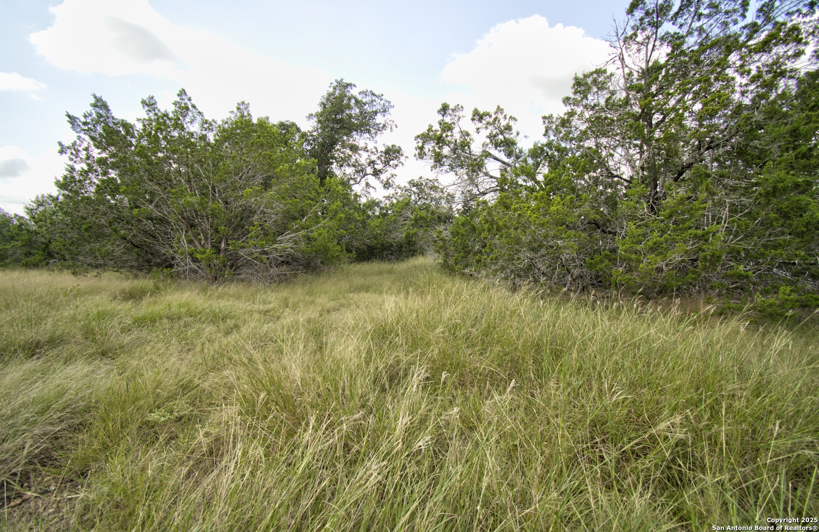 Lot 16 Paloma Ranch Rd Mountain Mountain Home, TX 78058 - Photo 5 of 15 a view of a lush green space and trees