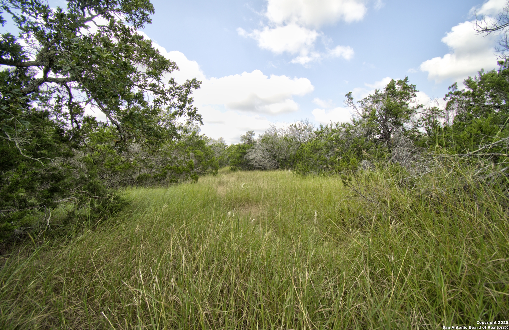 Lot 16 Paloma Ranch Rd Mountain Mountain Home, TX 78058 - Photo 7 of 15 a view of lake with green space