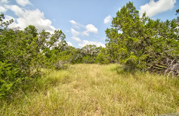 a view of a lake with a tree