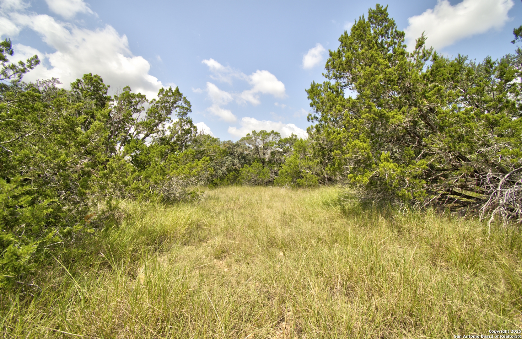 Lot 16 Paloma Ranch Rd Mountain Mountain Home, TX 78058 - Photo 8 of 15 a view of a lake with a tree