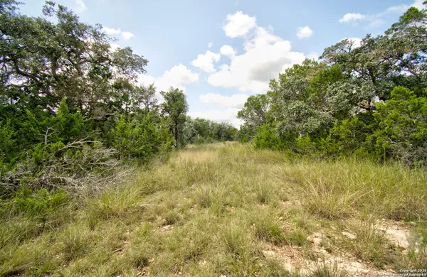 a view of a lake with a tree