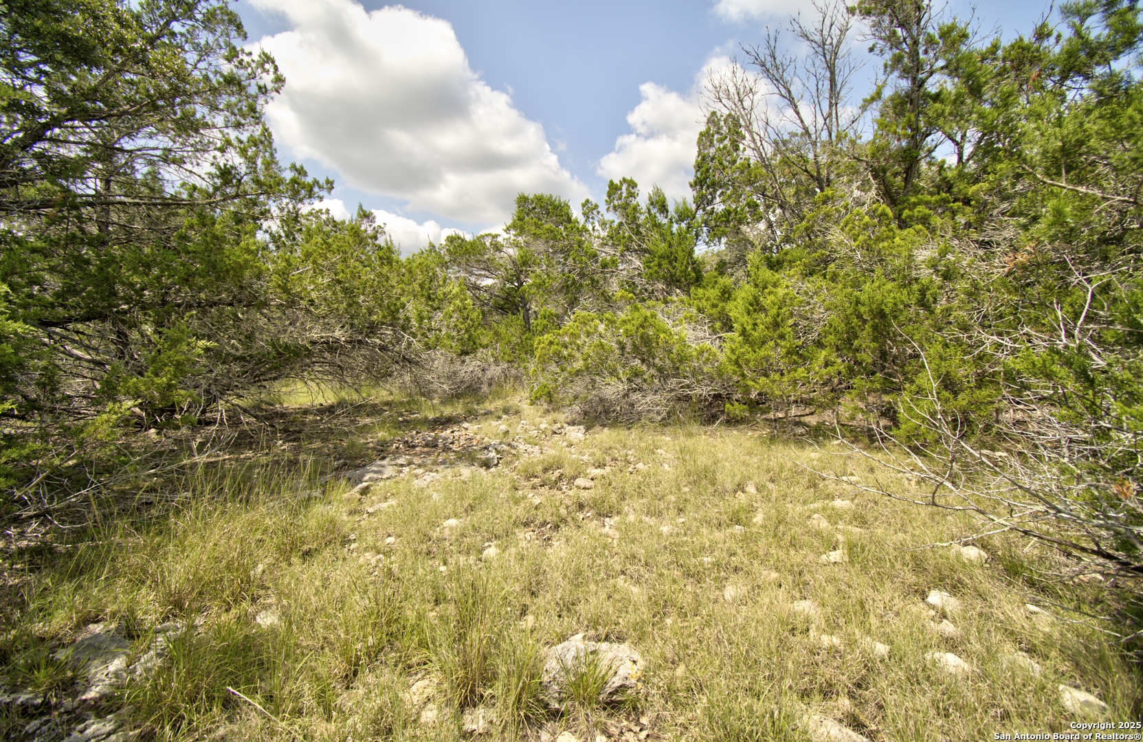 Lot 16 Paloma Ranch Rd Mountain Mountain Home, TX 78058 - Photo 10 of 15 a view of a bunch of plants and trees