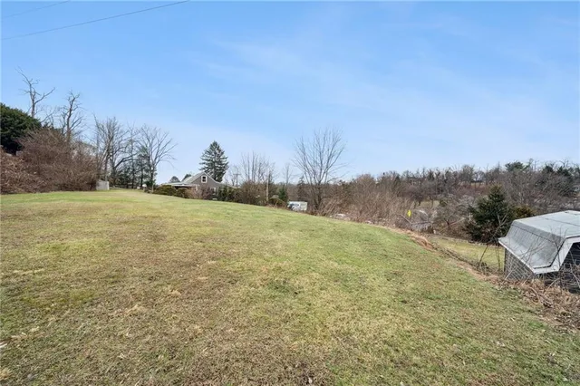a view of a field with large trees