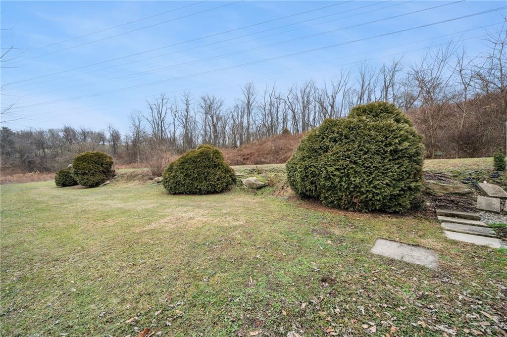 2052 McKinney Road Monroeville, PA 15146 - Photo 27 of 30 a view of a plants with fire pit in the background