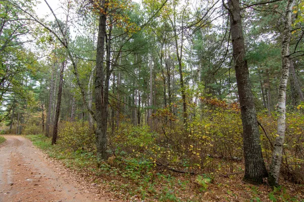 $199,900 | Tbd Tbd Harriet Lake Trail, Pine River, MN 56474