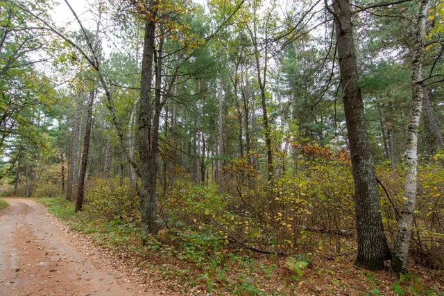 $199,900 | Tbd Tbd Harriet Lake Trail, Pine River, MN 56474