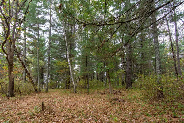 $199,900 | Tbd Tbd Harriet Lake Trail, Pine River, MN 56474