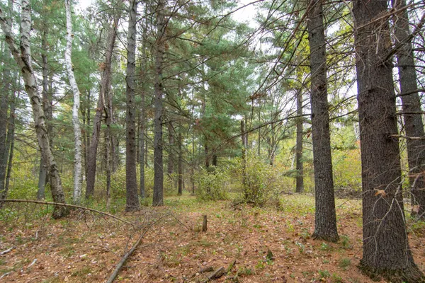 $199,900 | Tbd Tbd Harriet Lake Trail, Pine River, MN 56474