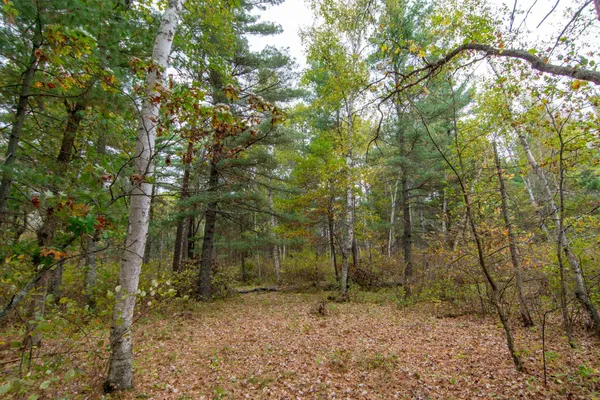 $199,900 | Tbd Tbd Harriet Lake Trail, Pine River, MN 56474