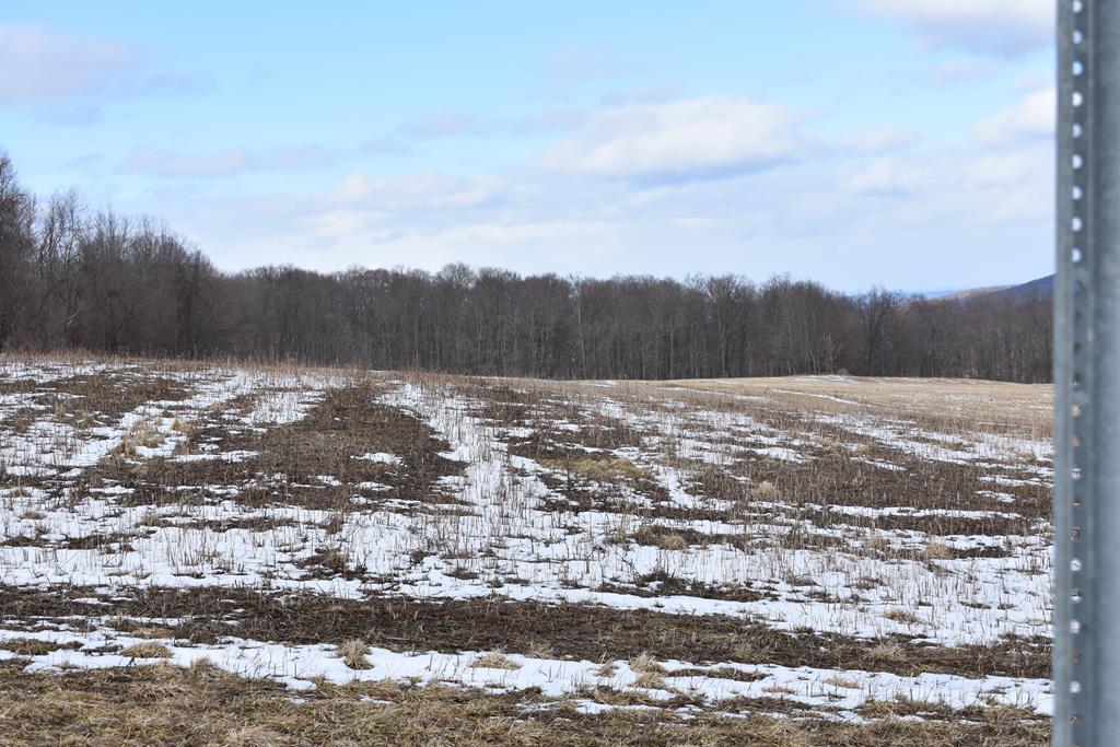 0 Piper Road Newfield, NY 14867 - Photo 1 of 1