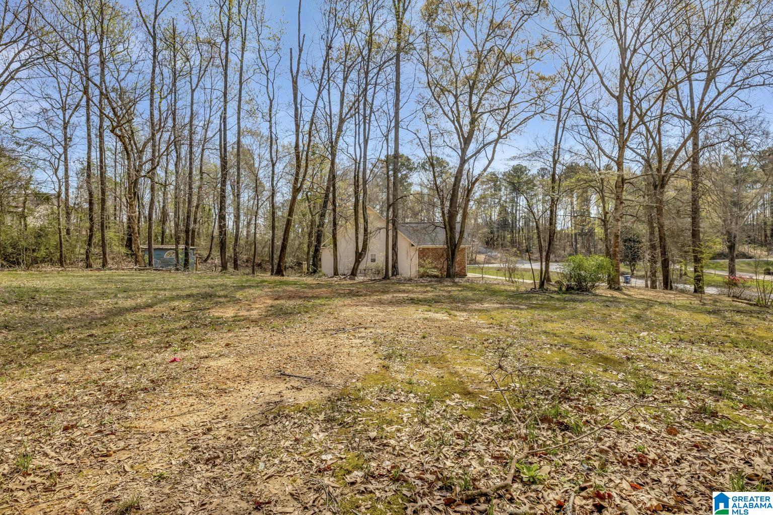 6535 Mays Bend Road Pell City, AL 35128 - Photo 25 of 28