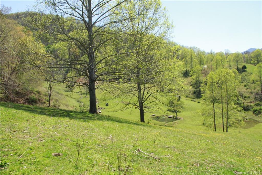 5639 Big Pine Road Marshall, NC 28753 - Photo 14 of 22 Gallery Image 14