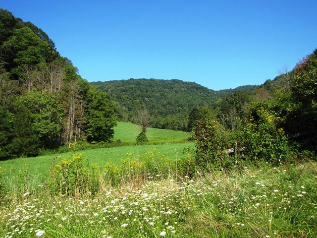2402 Lillydale-Back Creek Road Union, WV 24983 - Photo 1 of 49 Gallery Image 1