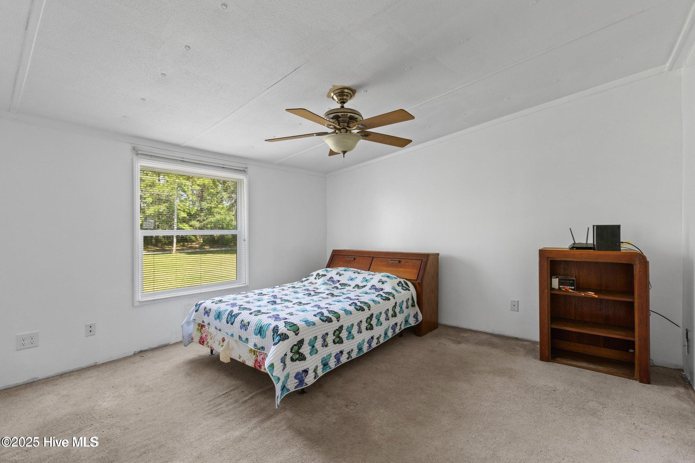 677 Berrys Creek Road Beaufort, NC 28516 - Photo 13 of 32 20250610155228682599000000-o