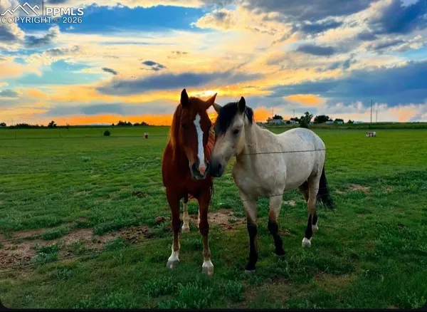 $445,000 | 36925 Shear Road, Yoder, CO 80864