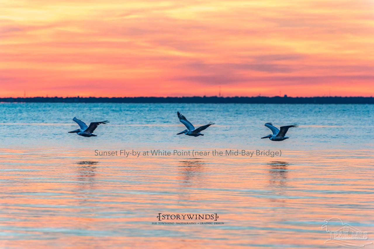 120 Juniper Drive Freeport, FL 32439 - Photo 43 of 49