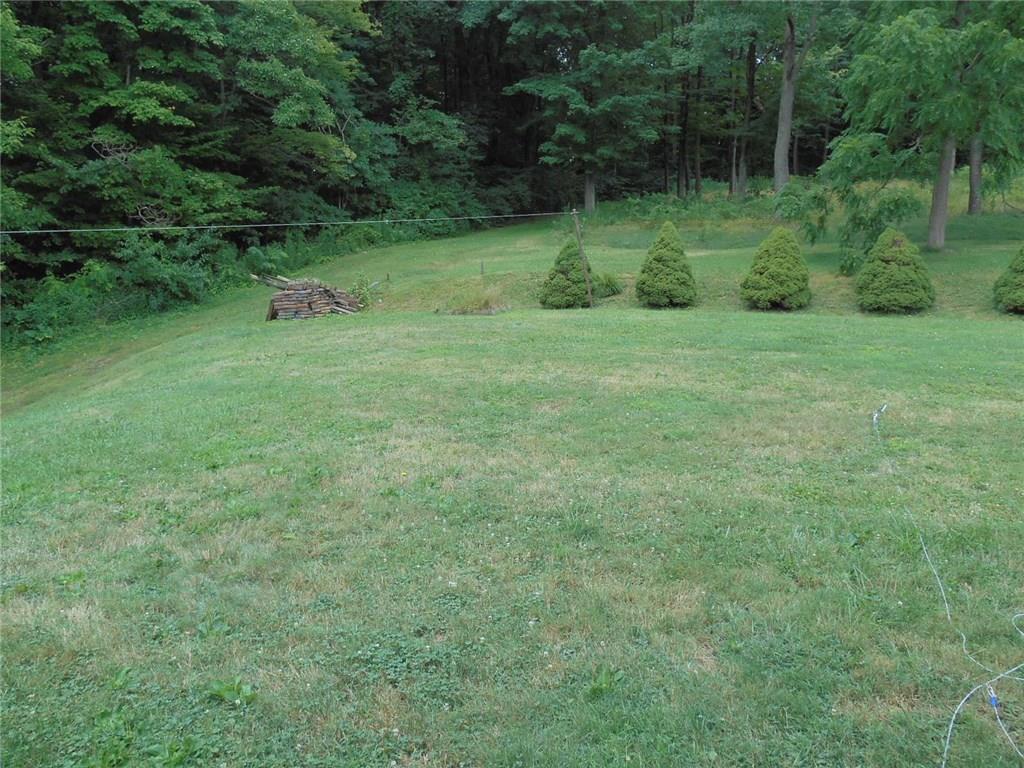2001 Clayton Road Beaver Falls, PA 15010 - Photo 14 of 18 Rear Yard Backs up to Woods.