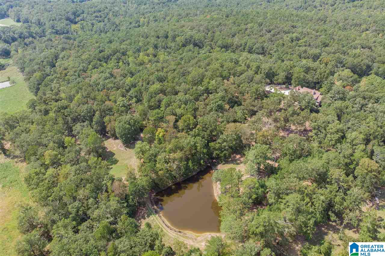 7476 Bear Creek Road Sterrett, AL 35147 - Photo 49 of 50