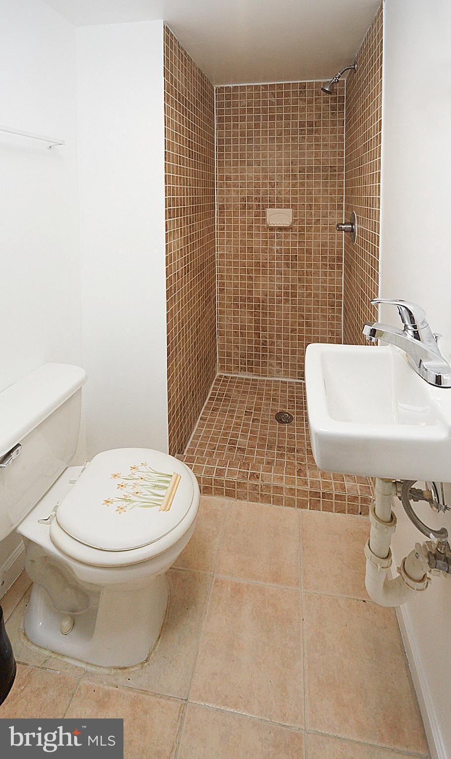 2223 Coralthorn Road Baltimore, MD 21220 - Photo 8 of 24 Fully finished bathroom in basement