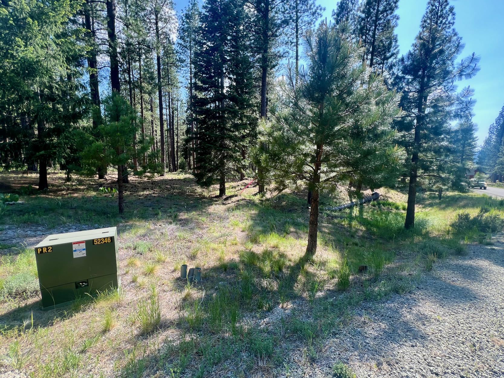 670 Redtail Loop Road Clio, CA 96106 - Photo 11 of 29