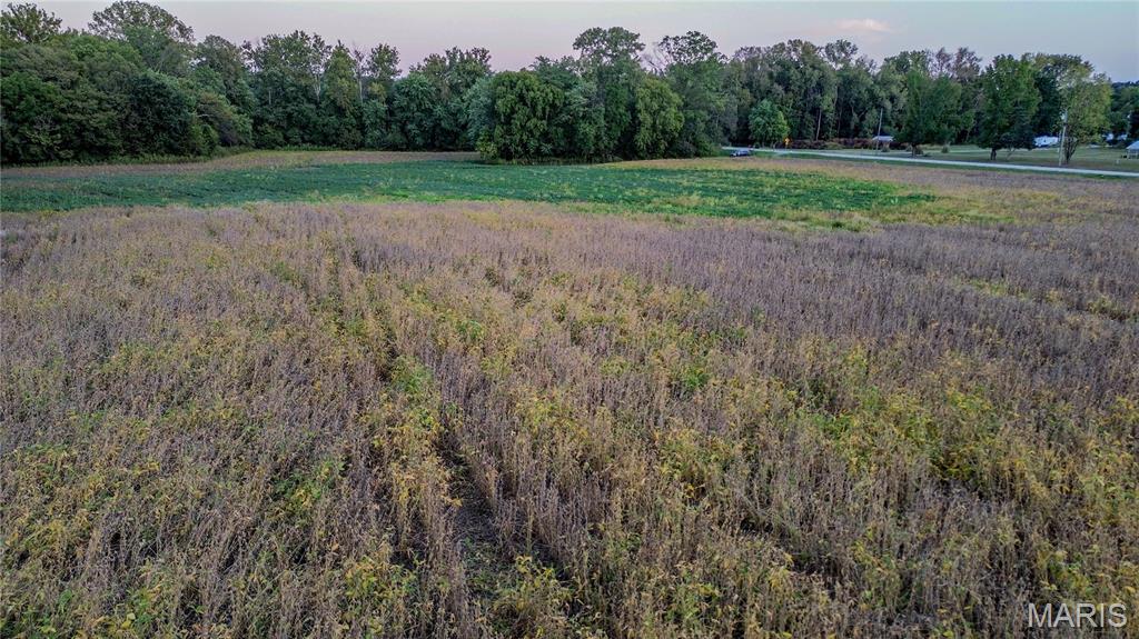 0 Possum Hill Road Worden, IL 62097 - Photo 14 of 19