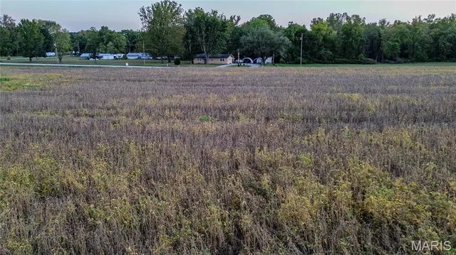 $199,000 | 0 Possum Hill Road, Worden, IL 62097