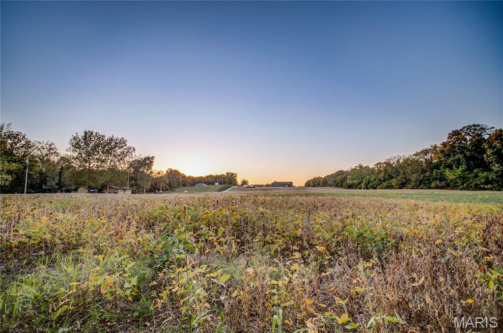 0 Possum Hill Road Worden, IL 62097 - Photo 18 of 19